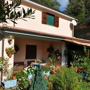 Alloggio per agriturismo Mattalè, Tonara